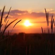 Fotoreading met tarotist San - online-helderzienden