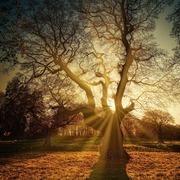 Online-helderzienden.net - tarotist Petra